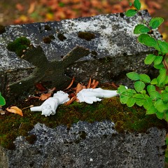 2019-09-29-03101-Exposure