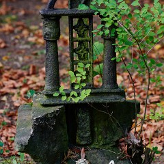 2019-09-29-03103-Exposure