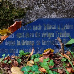 2019-09-29-03104-Exposure