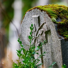 2019-09-29-03112-Exposure