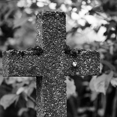 2019-09-29-03119-Exposure