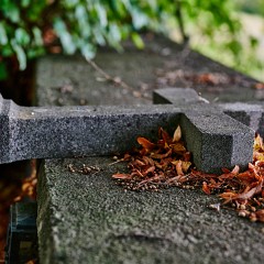 2019-09-29-03131-Exposure