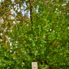 2019-09-29-03140-Exposure