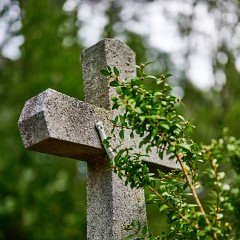 2019-09-29-03141-Exposure