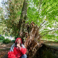 2019-09-29-03151-Exposure