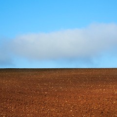 2019-11-10-03364 : Nab, Oselin