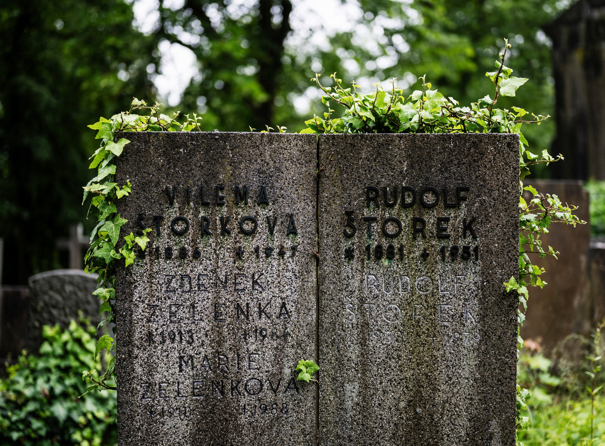 2024-06-01-00024-Exp