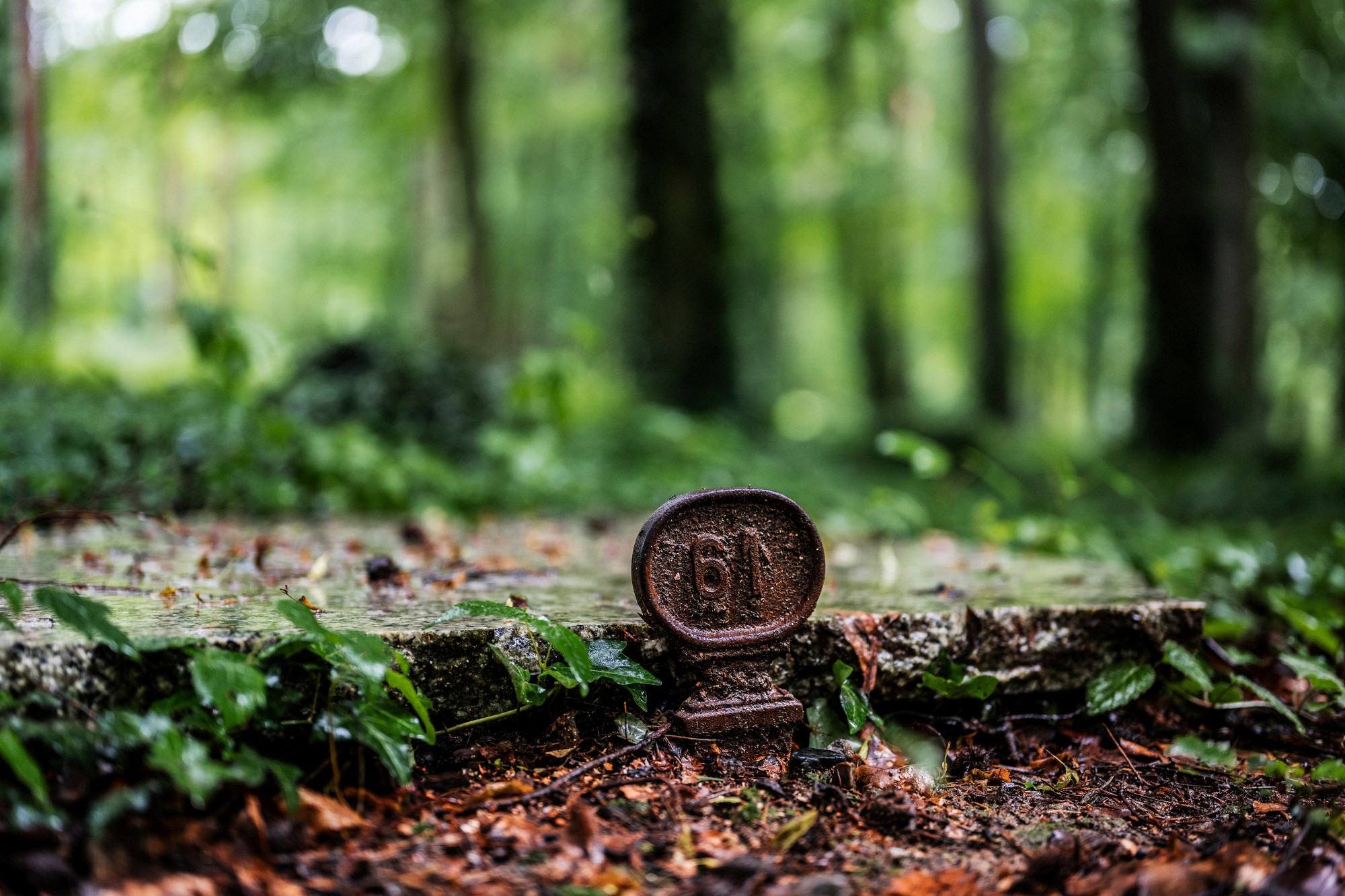 2024-06-01-00039-Exp