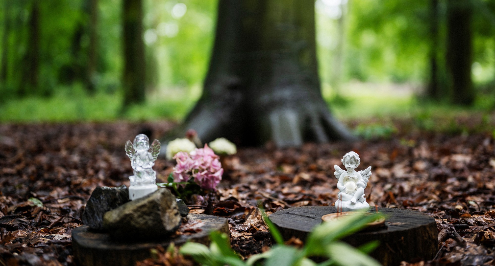 2024-06-01-00046-Exp