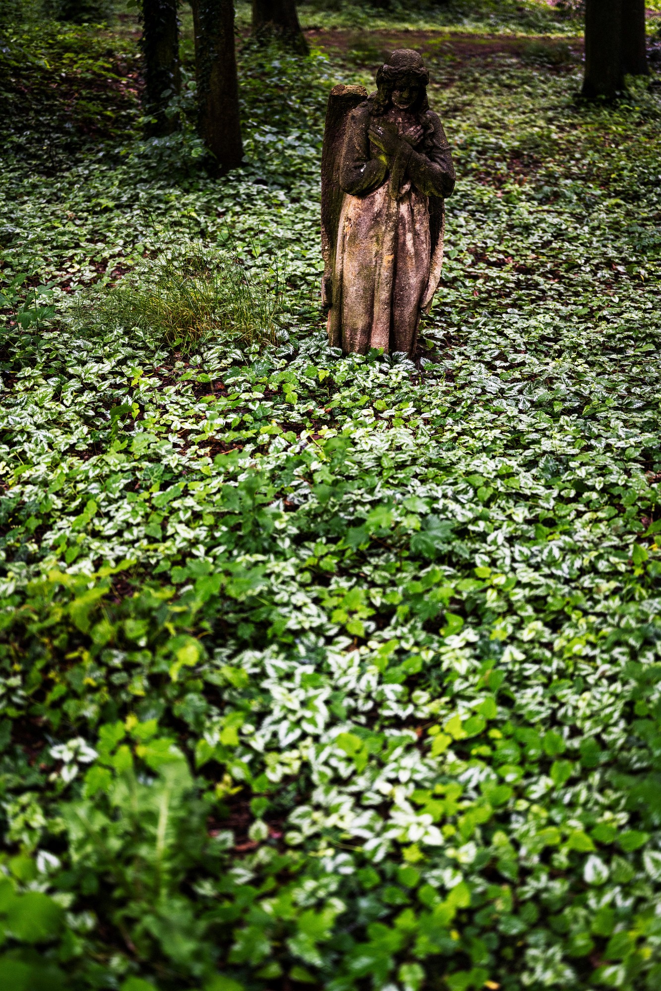 2024-06-01-00055-Exp