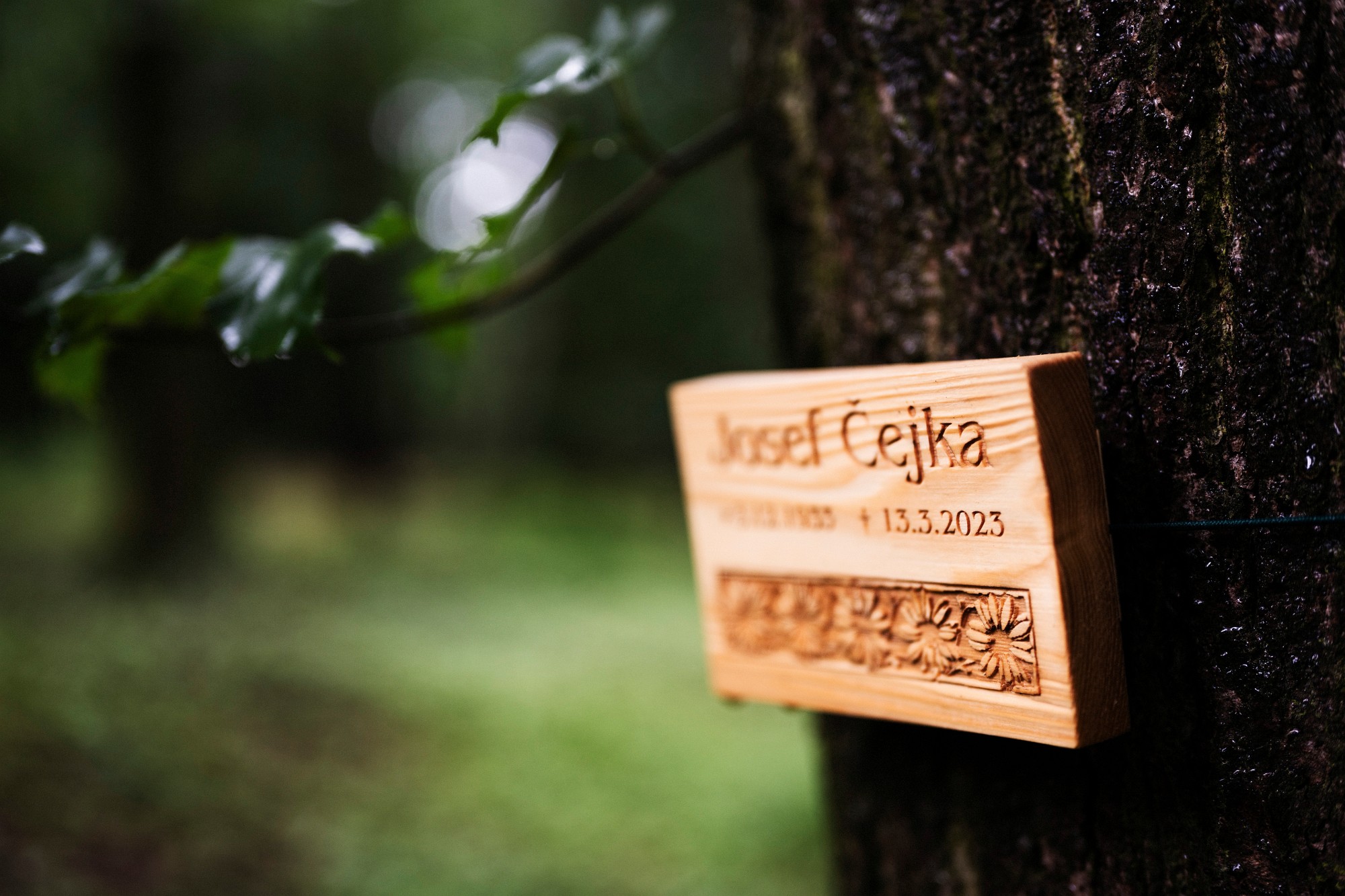 2024-06-01-00058-Exp