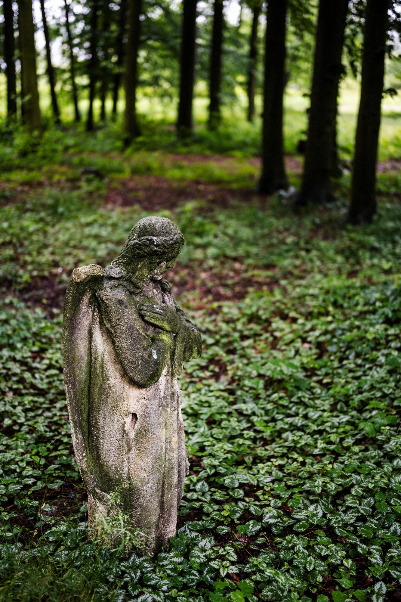 2024-06-01-00059-Exp