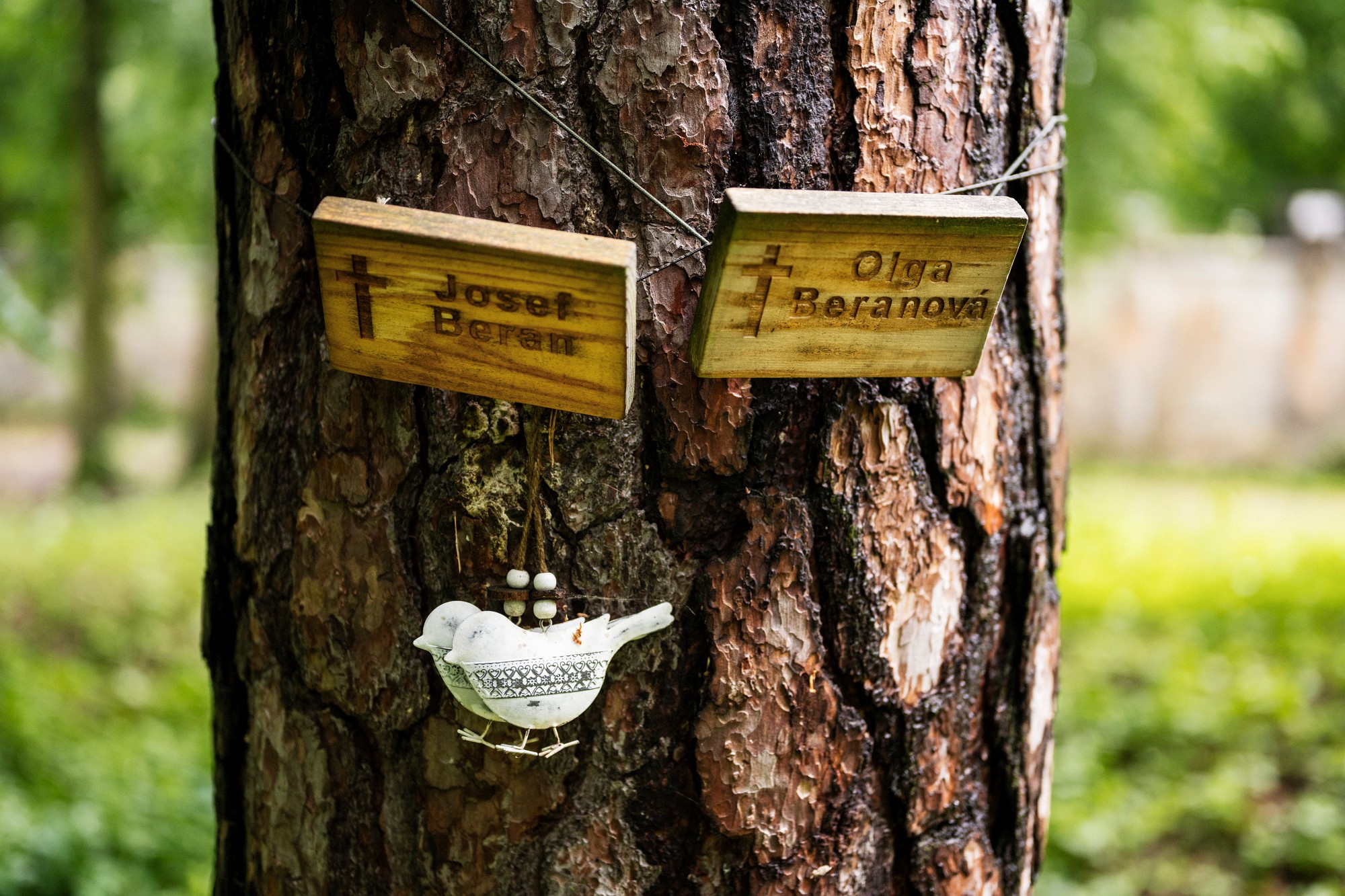 2024-06-01-00067-Exp