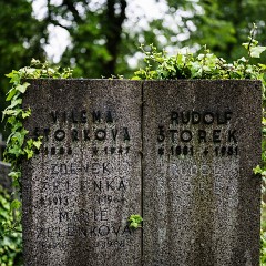 2024-06-01-00024-Exp