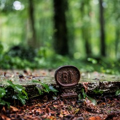 2024-06-01-00039-Exp