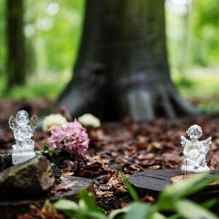 2024-06-01-00046-Exp