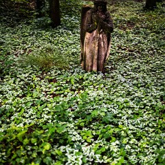 2024-06-01-00055-Exp