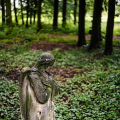 2024-06-01-00059-Exp