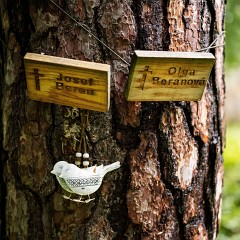 2024-06-01-00067-Exp