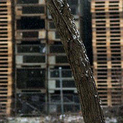 2012-12-21-7747 : Plzeň