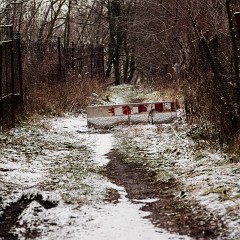 2012-12-21-7755 : Plzeň
