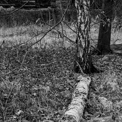 2014-02-16-0030 : Papirna, Plzen