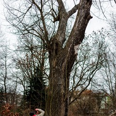 2014-02-16-0043 : Papirna, Plzen