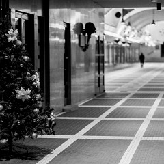 2012-12-30-8471 : Praha