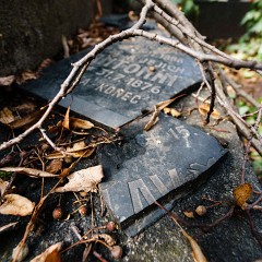 2015-03-28-0087-Exposure