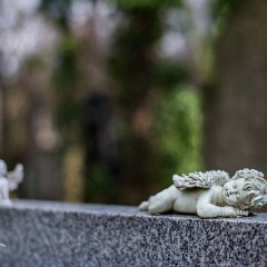 2015-03-28-0102-2-Exposure : Olsansky hrbitov, Praha, hrbitovy