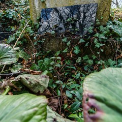 2015-03-28-0117-Exposure