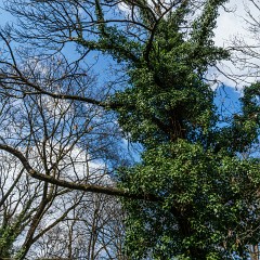 2015-03-28-0125-Exposure