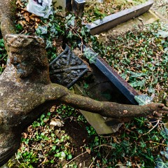 2015-03-28-0137-Exposure